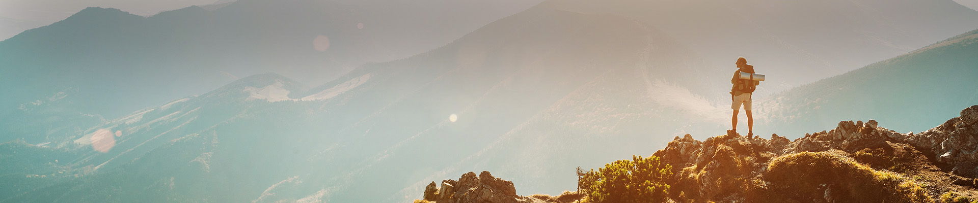 Responsive image